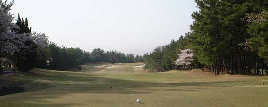 course